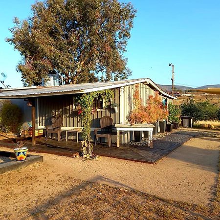 Finca Vidandrei Casa Eucalipto Valle de Guadalupe Kültér fotó
