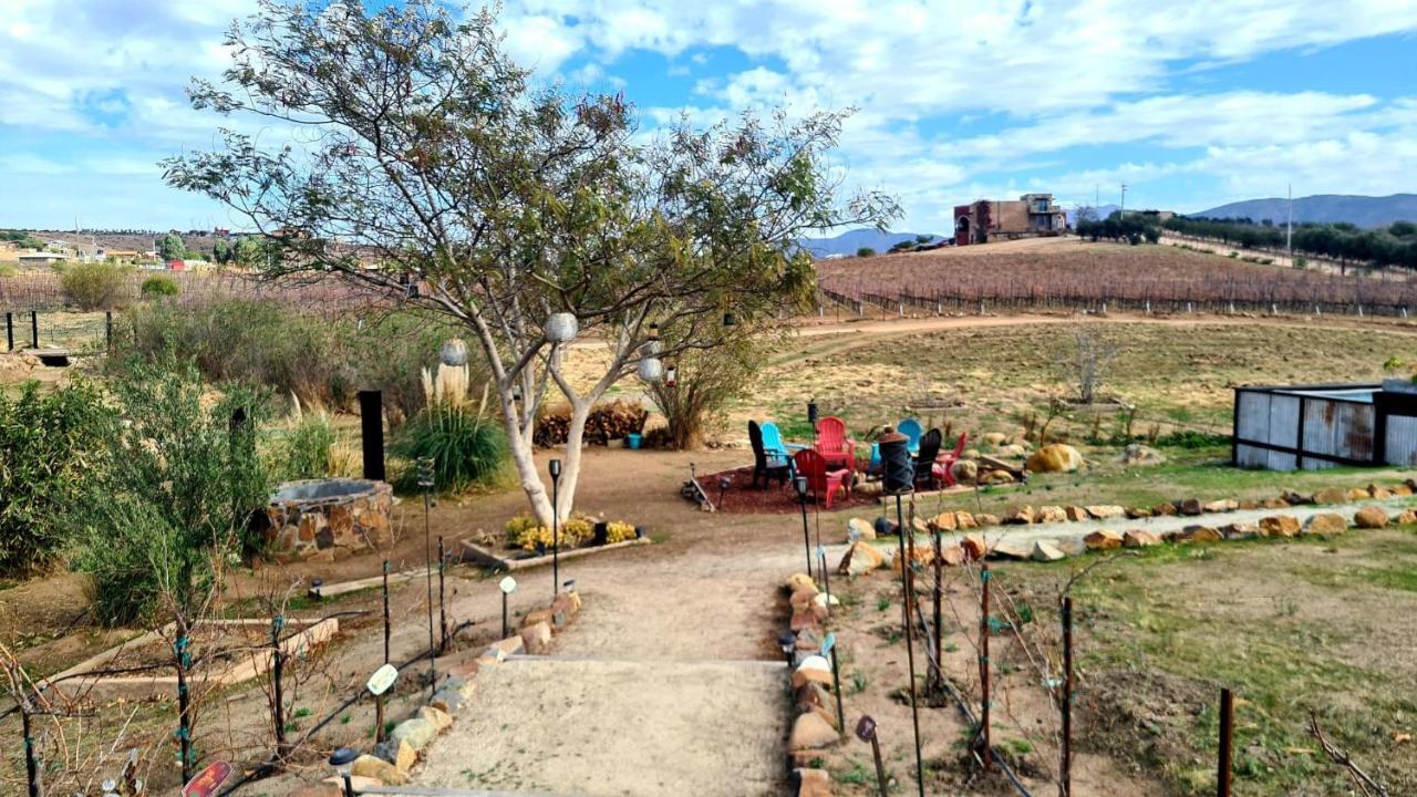 Finca Vidandrei Casa Eucalipto Valle de Guadalupe Kültér fotó