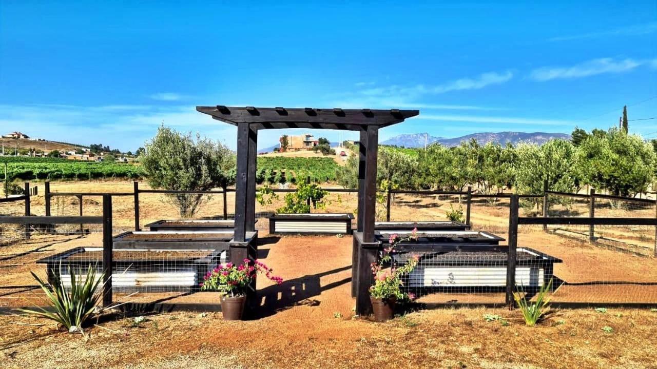 Finca Vidandrei Casa Eucalipto Valle de Guadalupe Kültér fotó