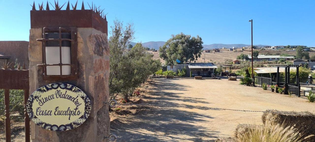 Finca Vidandrei Casa Eucalipto Valle de Guadalupe Kültér fotó
