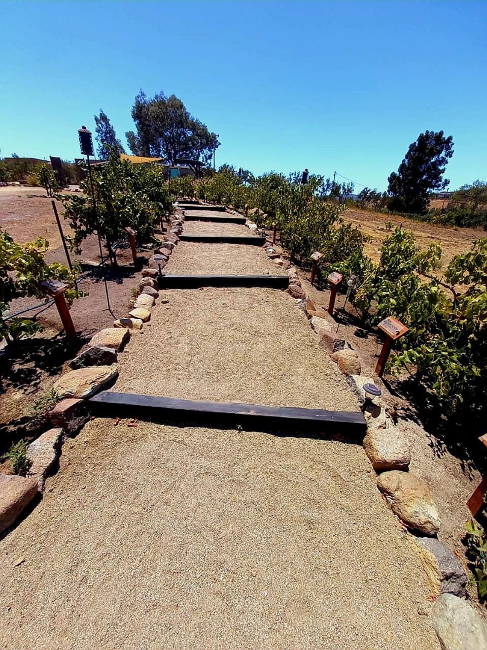 Finca Vidandrei Casa Eucalipto Valle de Guadalupe Kültér fotó