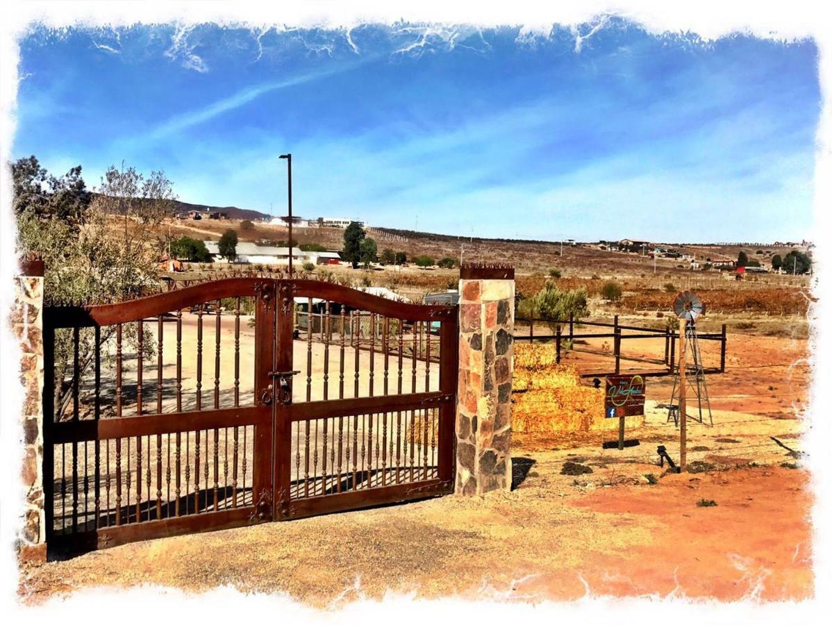 Finca Vidandrei Casa Eucalipto Valle de Guadalupe Kültér fotó