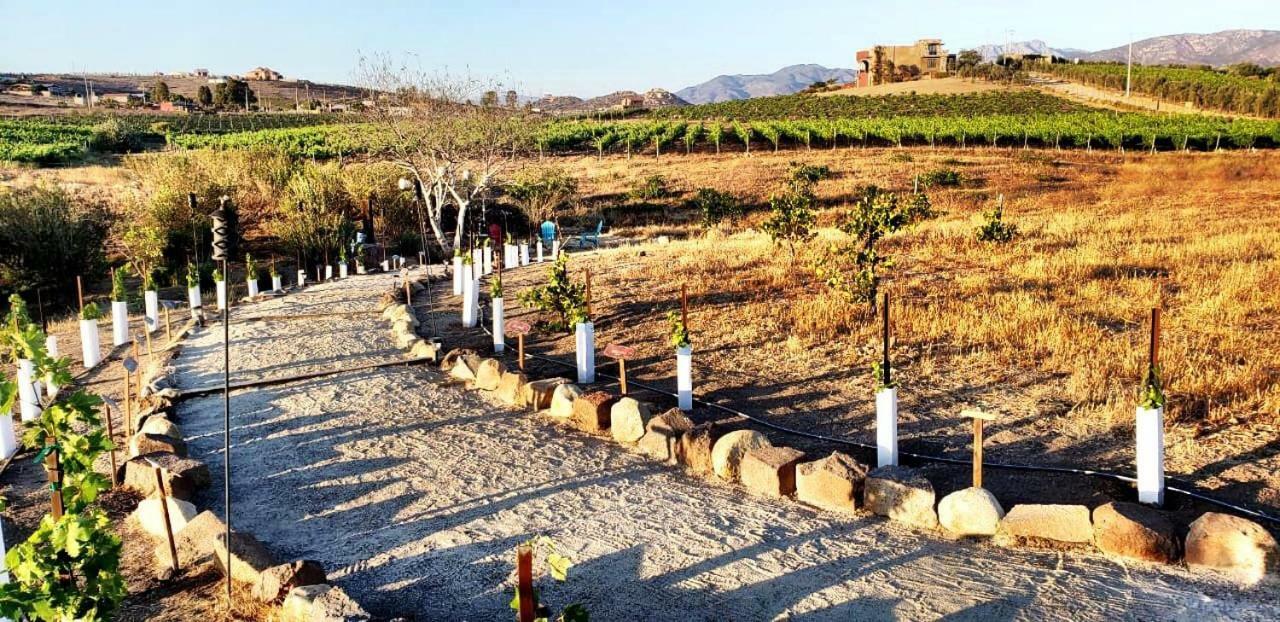Finca Vidandrei Casa Eucalipto Valle de Guadalupe Kültér fotó